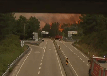 Confirmados 24 mortos no incêndio de Pedrógão Grande