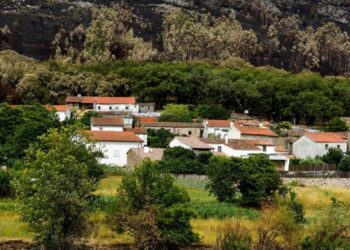 Enquanto os políticos procuram bodes expiatórios, Ferraria de São João planta árvores contra fogos