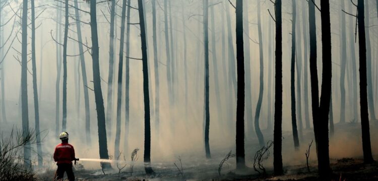 Figueiró dos Vinhos e Alvaiázere em risco máximo de incêndio