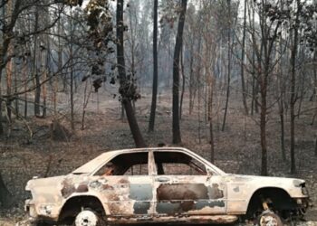 Fogo já dizimou “95%” da floresta do concelho de Pedrógão Grande