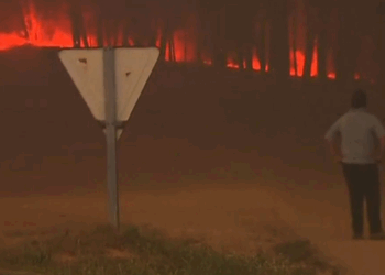 Governo confirma 57 mortos no incêndio de Pedrógão Grande. Número pode aumentar