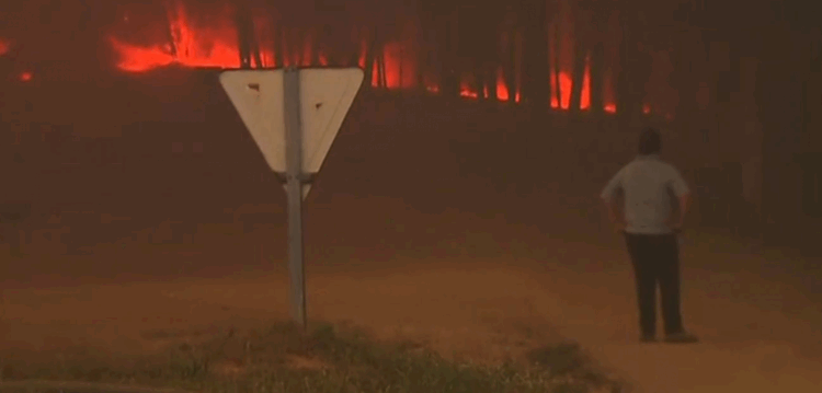 Governo confirma 57 mortos no incêndio de Pedrógão Grande. Número pode aumentar