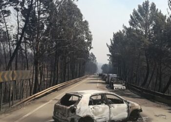 Gulbenkian cria fundo com dotação inicial de 500 mil euros