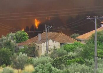 Há mortos e vários desaparecidos em fogo em Pedrógão Grande