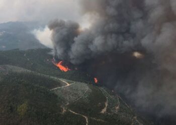Incêndio de Pedrógão está dominado