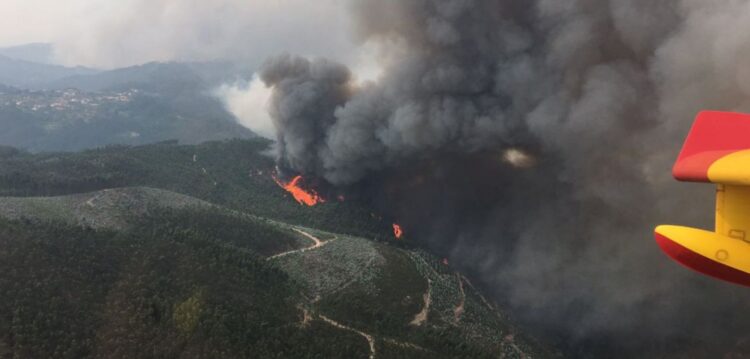 Incêndio de Pedrógão está dominado