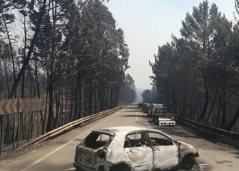 Mais de 150 desalojados só no concelho de Pedrogão Grande