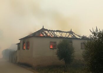 Misericórdias podem acolher “de imediato” cerca de 100 desalojados pelos fogos
