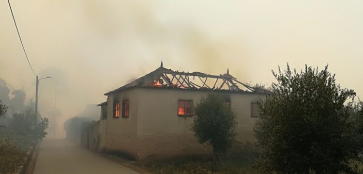 Misericórdias podem acolher “de imediato” cerca de 100 desalojados pelos fogos