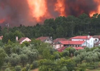 Número de vítimas do incêndio de Pedrogão Grande vai já em 43