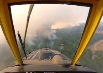 Piloto que combate o incêndio de Pedrógão diz que jamais viu algo assim
