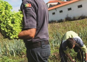 Prisão abre loja para vender hortas cultivadas pelos reclusos
