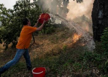 Protecção Civil admite controlo do incêndio de Pedrógão até ao final da manhã mas ainda não a sua extinção