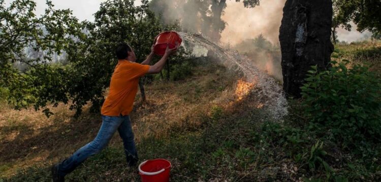 Protecção Civil admite controlo do incêndio de Pedrógão até ao final da manhã mas ainda não a sua extinção