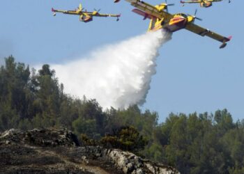 Protecção Civil assinala 15 situações de fogo, neste momento, no distrito de Leiria