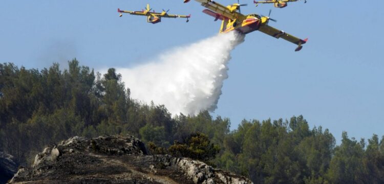 Protecção Civil assinala 15 situações de fogo, neste momento, no distrito de Leiria
