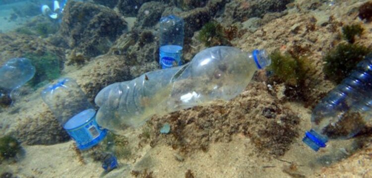 Quercus pede responsabilidade a cidadãos para acabar com oceanos de plástico