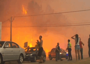 Trovoada seca e eucalipto entre os possíveis “culpados” da tragédia de Pedrógão Grande