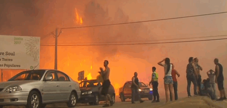 Trovoada seca e eucalipto entre os possíveis “culpados” da tragédia de Pedrógão Grande