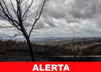 Aviso de perigo de incêndio florestal devido a condição meteorológica