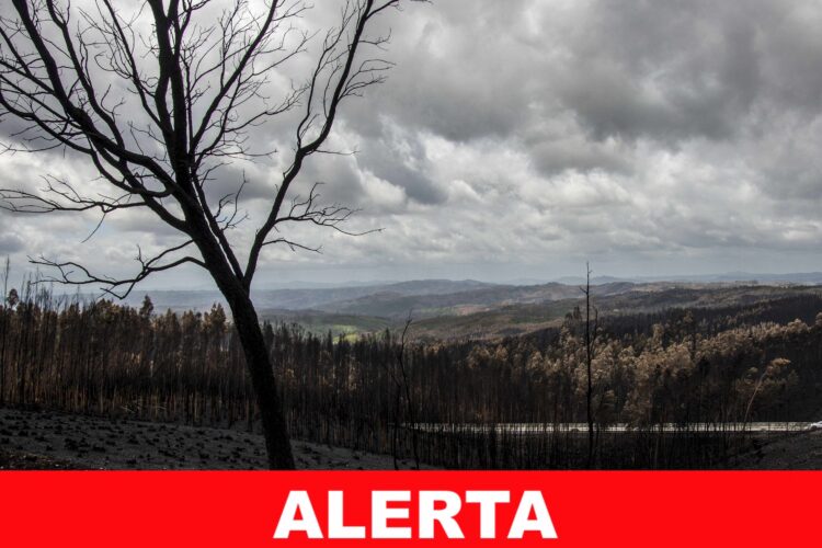 Aviso de perigo de incêndio florestal devido a condição meteorológica