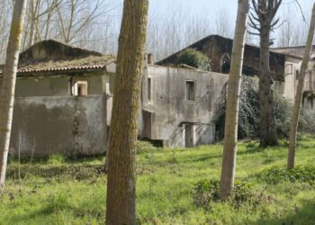 Câmara da Batalha quer comprar casa onde nasceu Mouzinho de Albuquerque