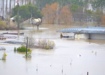 Leiria avança com plano de acção para se adaptar às mudanças do clima