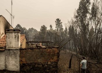Meo não cobrará mensalidades aos clientes que faleceram no fogo Pedrogão