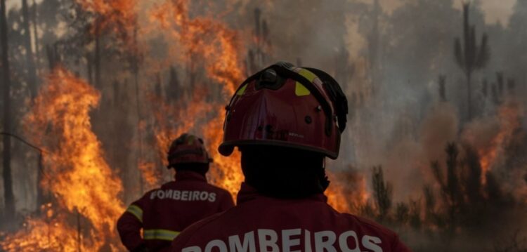 ACTUALIZAÇÃO: Bombeiro ferido com gravidade no fogo em Oleiros sem risco de vida
