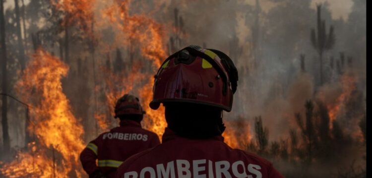 Bombeiros de Leiria feridos em incêndio de Oleiros