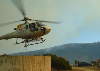 Cinco meios aéreos combatem chamas no Parque Natural, na Barrenta