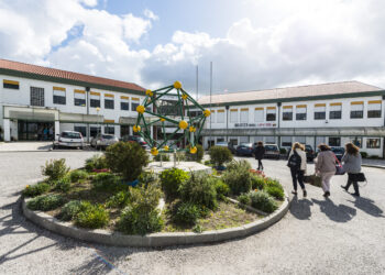 Doze escolas da região integram Projecto de Autonomia e Flexibilidade Curricular