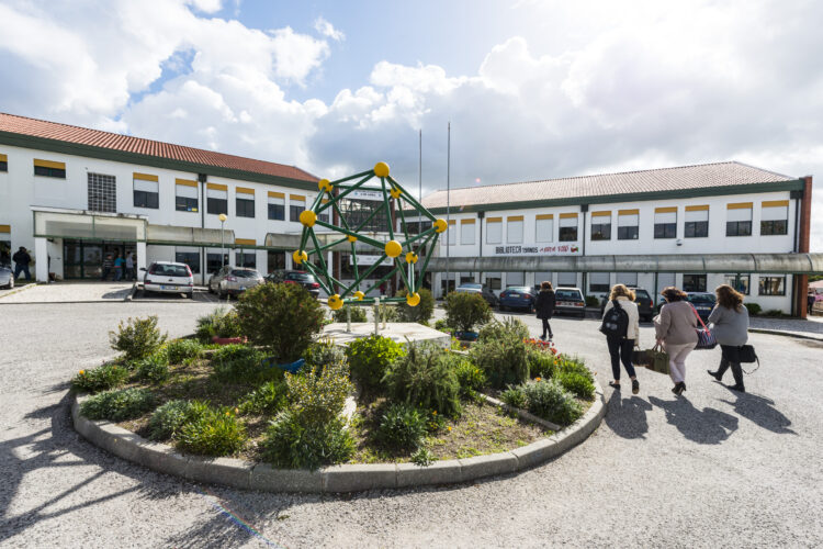 Doze escolas da região integram Projecto de Autonomia e Flexibilidade Curricular