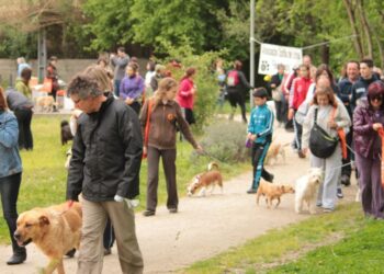 Encontro Animal em Caldas da Rainha