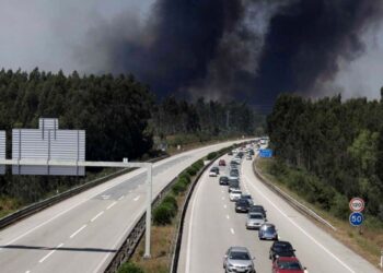 Fogo devora zona de eucaliptal e corta A1