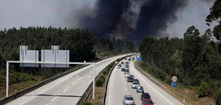 Fogo devora zona de eucaliptal e corta A1