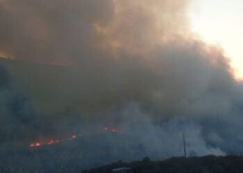 Galeria: PNSAC está a arder entre Alvados e Mira de Aire