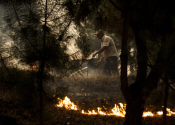 Pneumologistas alertam para riscos para a saúde respiratória devido aos incêndios