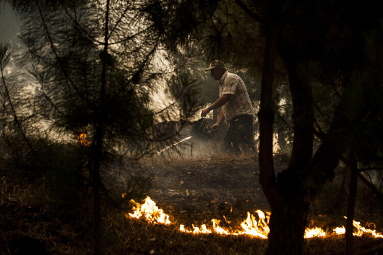 Pneumologistas alertam para riscos para a saúde respiratória devido aos incêndios