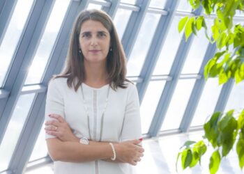 Ana Sargento: “As entidades têm estado mais em competição do que em cooperação”