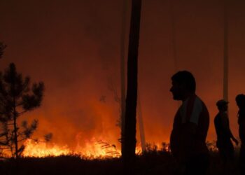 Plataforma electrónica gere donativos às vítimas do incêndio de Pedrógão Grande