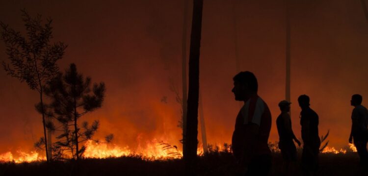 Plataforma electrónica gere donativos às vítimas do incêndio de Pedrógão Grande