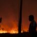 Plataforma electrónica gere donativos às vítimas do incêndio de Pedrógão Grande