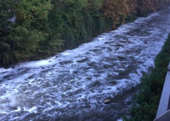 Água do Lis aparece turva e com espuma dentro da cidade