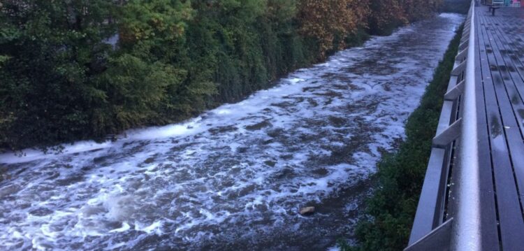 Água do Lis aparece turva e com espuma dentro da cidade