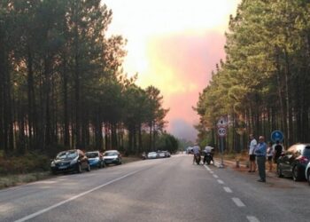 Autoridades pedem a curiosos que NÃO se desloquem para as estradas da mata para ver o fogo (FOTOGALERIA)