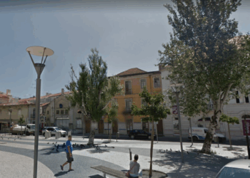 Choupos em risco de queda em Leiria vão ser cortados
