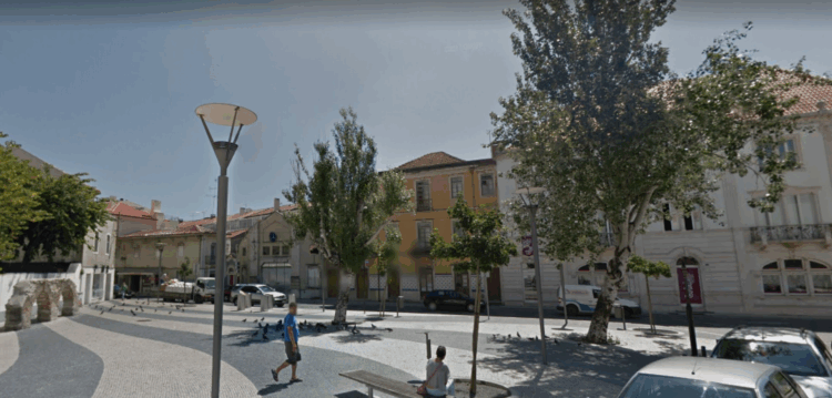Choupos em risco de queda em Leiria vão ser cortados