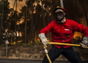 Comandante dos Bombeiros Voluntários da Marinha Grande questiona ICNF
