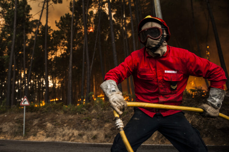 Comandante dos Bombeiros Voluntários da Marinha Grande questiona ICNF
